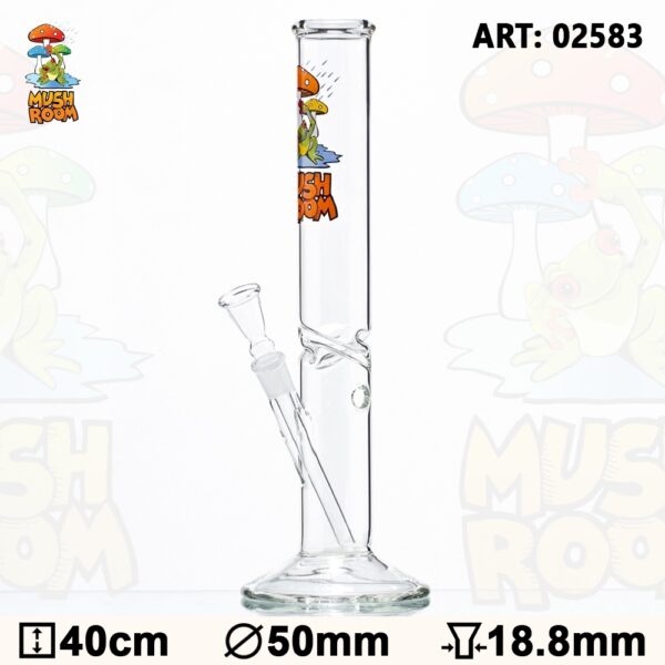 Bong Mushroom with Frog